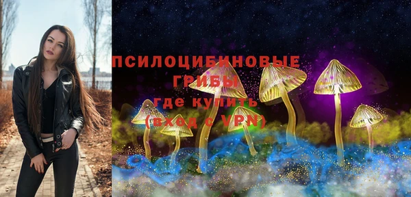 соль ск Нея