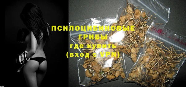 гидропоника Новокубанск