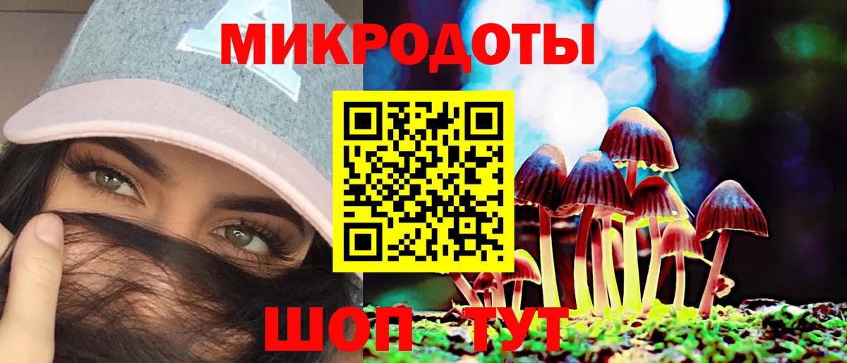 Псилоцибиновые грибы GOLDEN TEACHER  Вход с VPN  Зерноград 